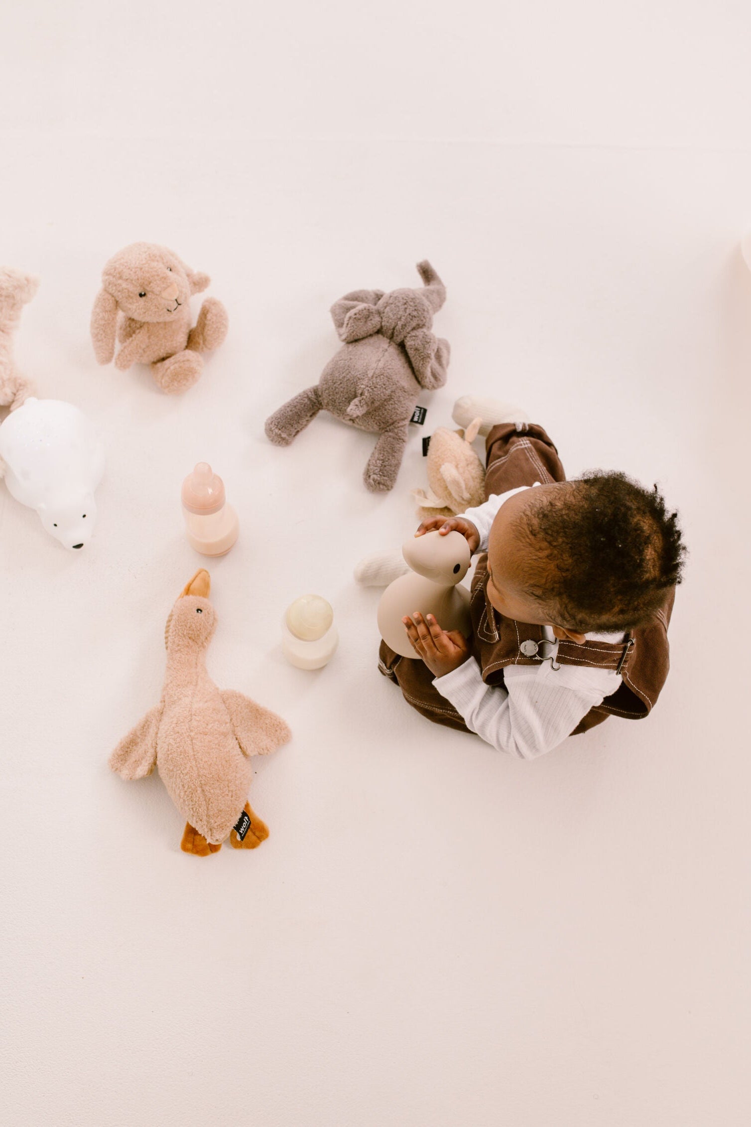 Sprout - Shop Our Collection