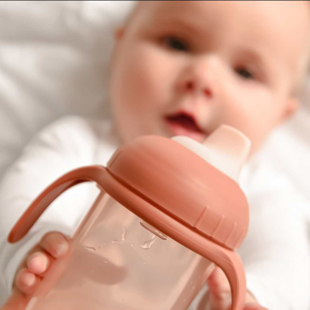 Non-Spill Sippy Cup (250ml)